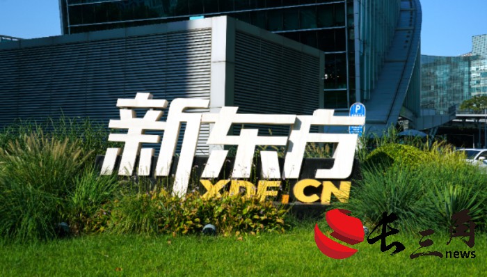 剥离与辉同行后，新东方最新财季净利同比下跌6.9%