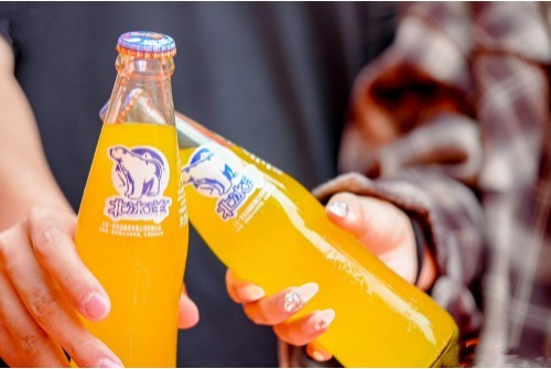 2025媒体管家:北极熊大挑战:北冰洋携手欧乐堡动物王国守护冰川