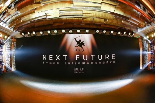 2025媒体管家:中马协马球专业委员会成立后 中国马球未来趋势大会顺利召开