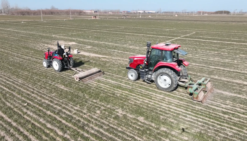 河北：科技引领小麦田间管理