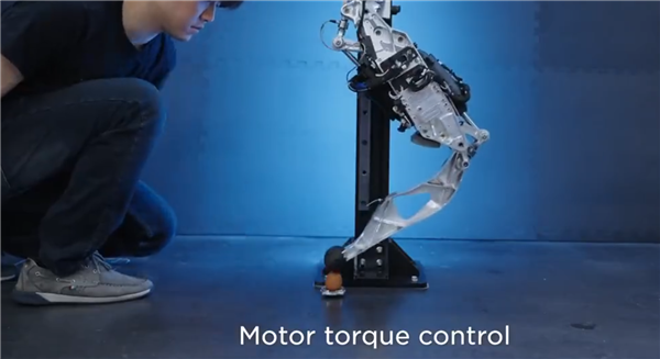 马斯克秀肌肉！特斯拉擎天柱机器人最新演示：AI大提升、行走更自然