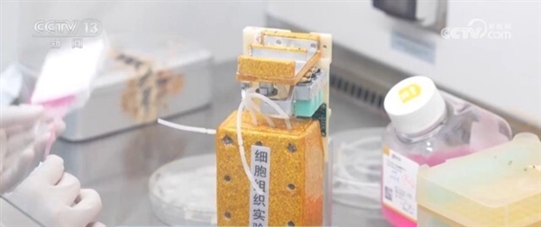 重大突破！我国首次实现人类干细胞太空造血