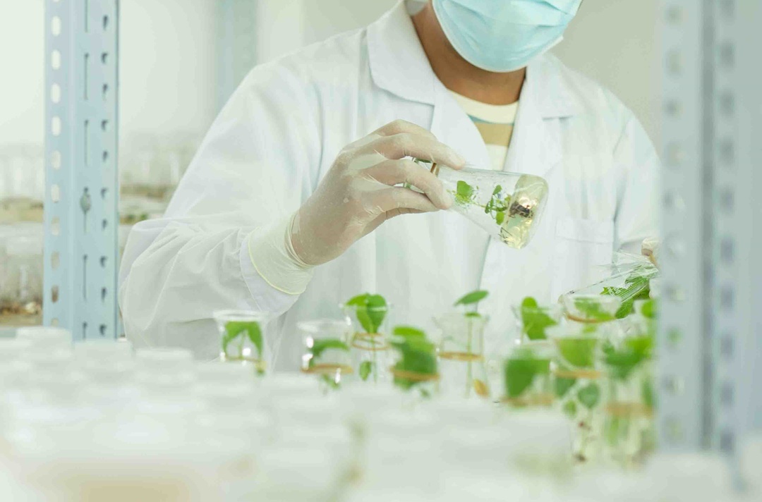 共创、共链、共赢——2025稳健集团创新发展研讨会顺利召开(图8)