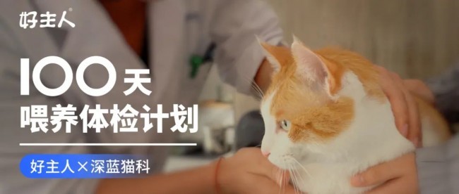 好主人100天喂养计划成功收官 分阶主粮引领精细化养宠趋势(图1)