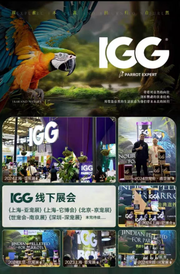 IGG 2024年度品牌盛典：载誉前行，感恩奋进的一年(图5)
