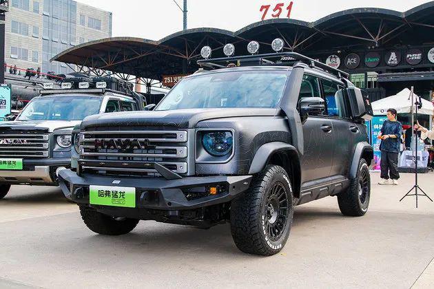 驾驶哈弗猛龙，征服广袤的内蒙古大草原(图2)