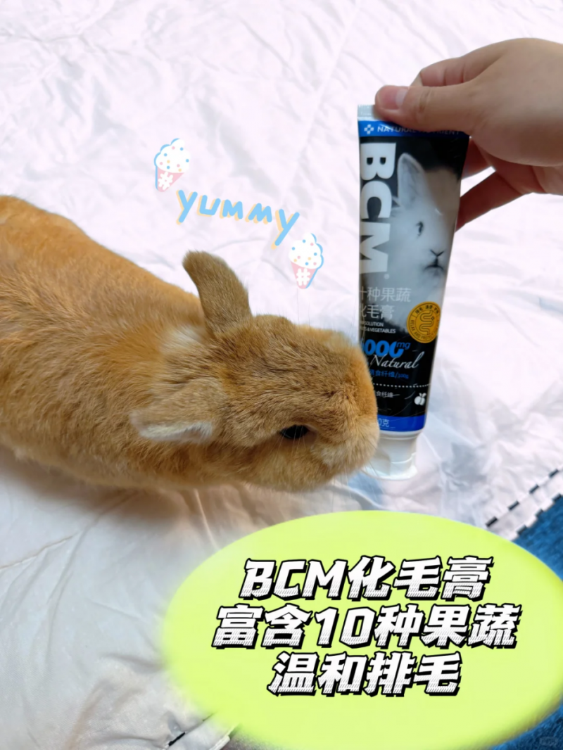 宠物兔的健康卫士——BCM引领高纤化毛新时代(图8)