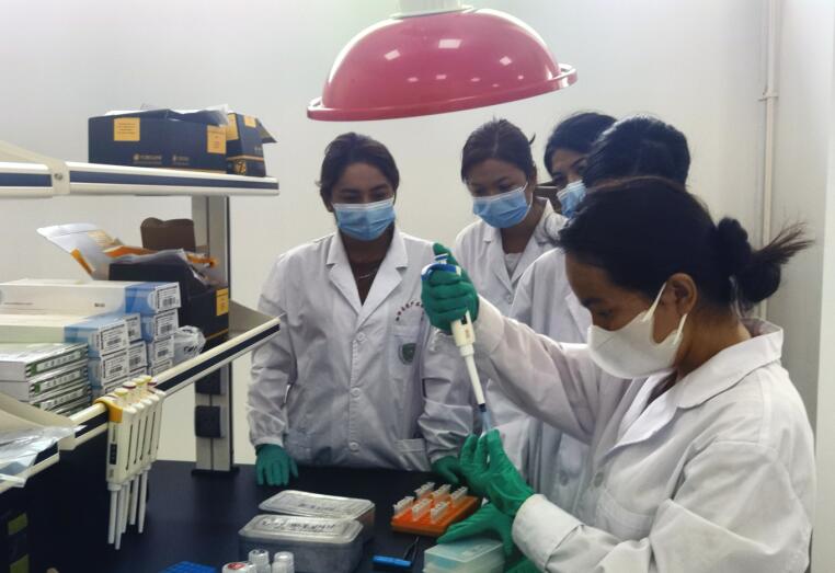 农业科技创新加"料"  新疆伽师新梅变乡村振兴"金"果(图1)