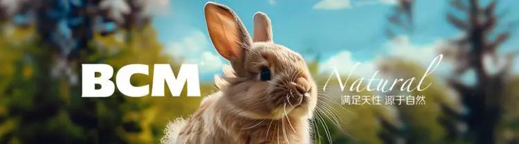 换季时兔毛满天飞？BCM揭秘：如何实现肠道健康与毛发光泽的黄金平衡(图17)